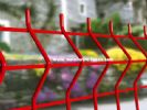 Wire Mesh Fence